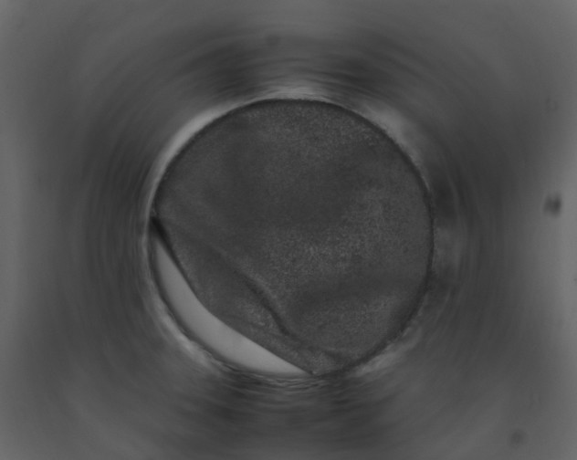 X0000092271331200710051331