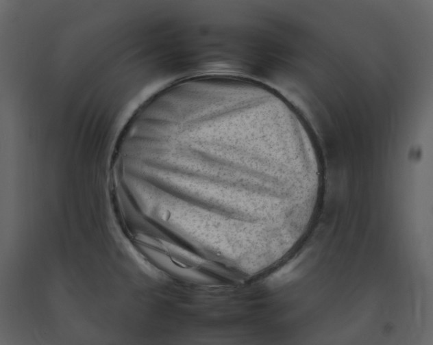 X0000092271333200710051331