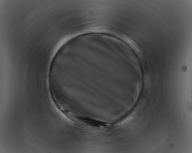 X0000092271334200710051331