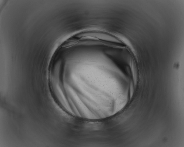 X0000092271335200710051331