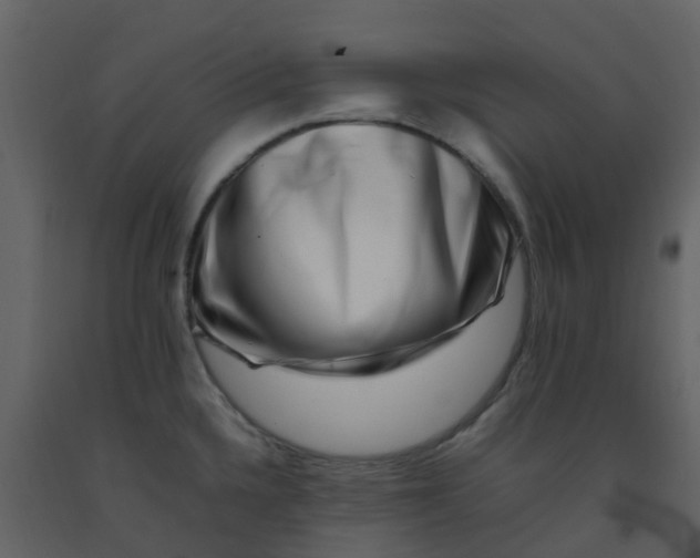 X0000092271336200710051331