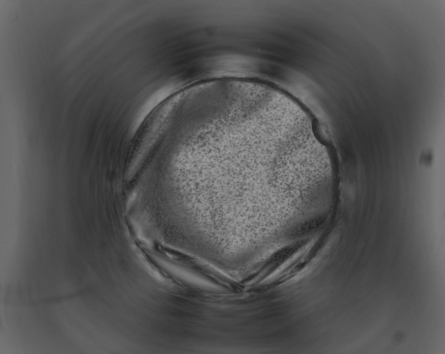 X0000092271337200710051331