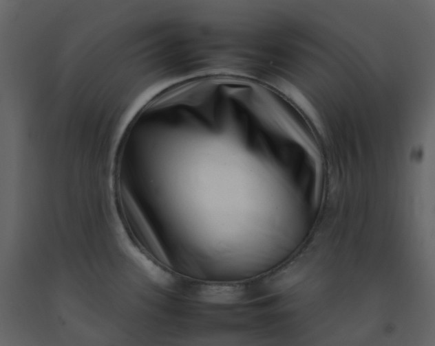 X0000092271339200710051331