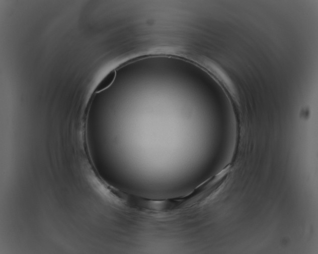 X0000092271340200710051331