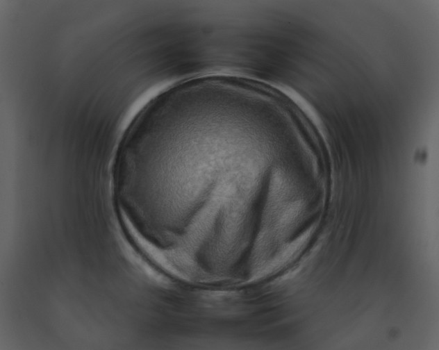 X0000092271341200710051331