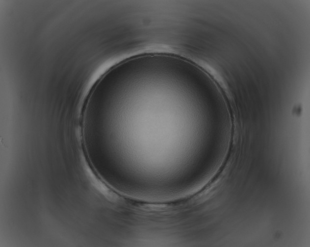 X0000092271342200710051332