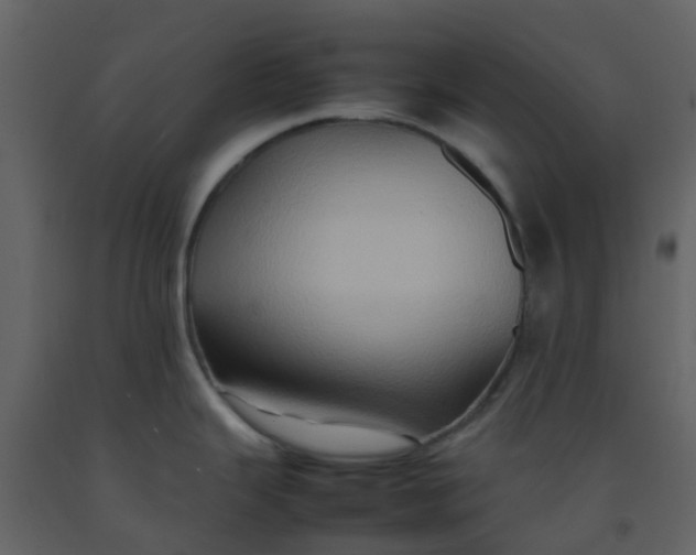 X0000092271343200710051332