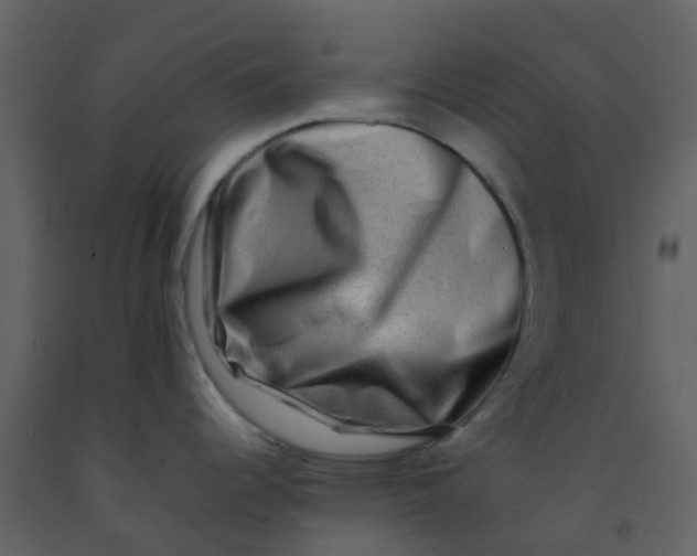 X0000092271344200710051332