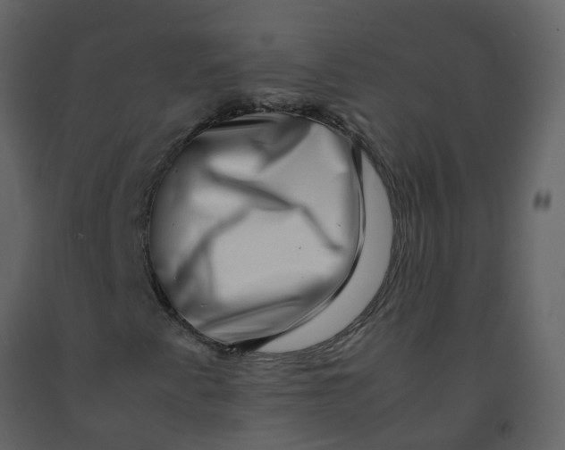 X0000092271345200710051331