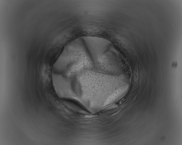 X0000092271346200710051331