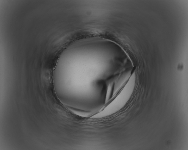 X0000092271347200710051331