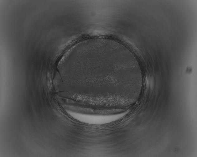 X0000092271348200710051331