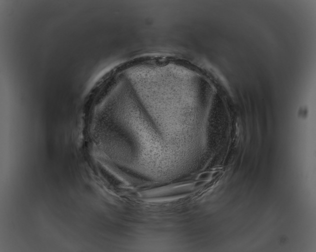 X0000092271352200710051331