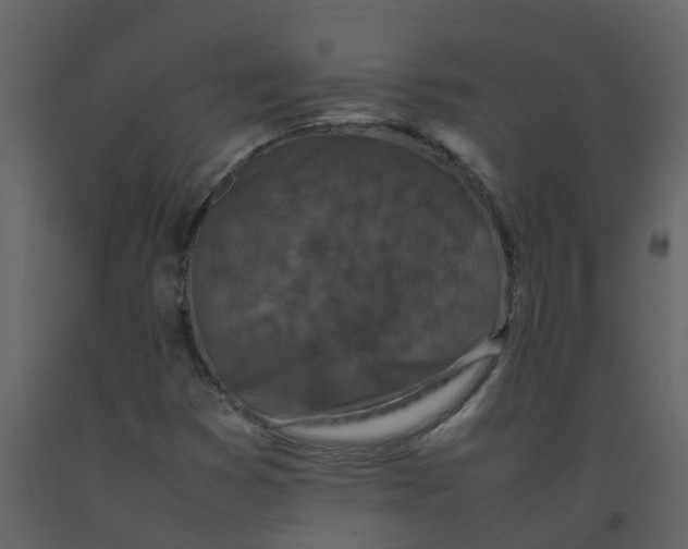 X0000092271353200710051331