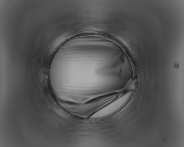 X0000092271355200710051331