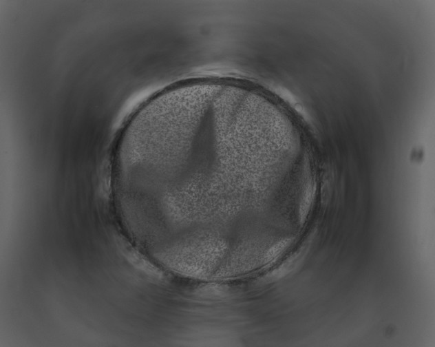 X0000092271358200710051331