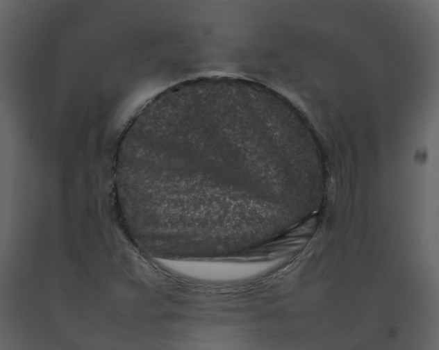 X0000092271359200710051331