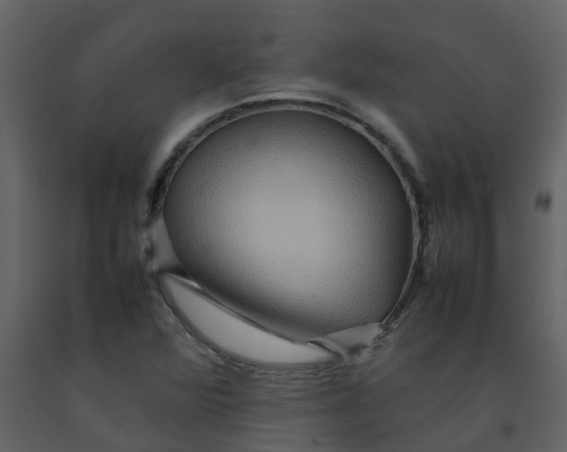 X0000092271360200710051331