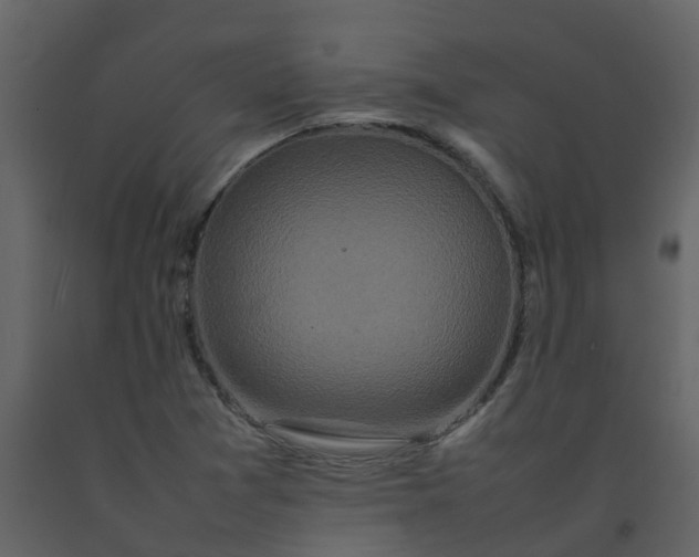 X0000092271361200710051331