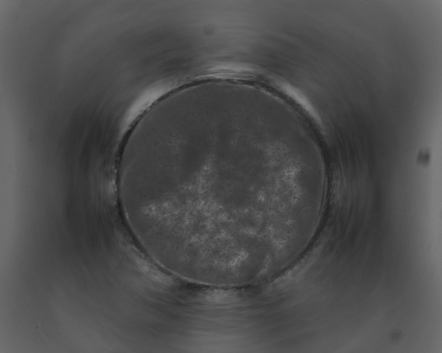 X0000092271362200710051331