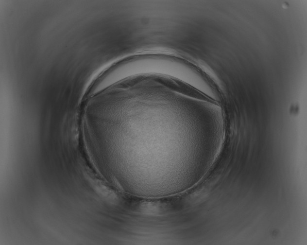 X0000092271364200710051331