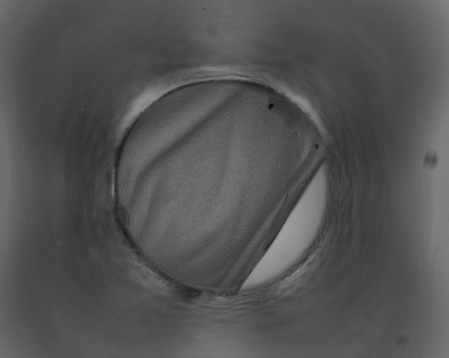 X0000092271365200710051331