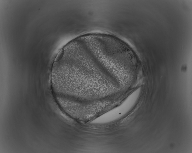 X0000092271367200710051330