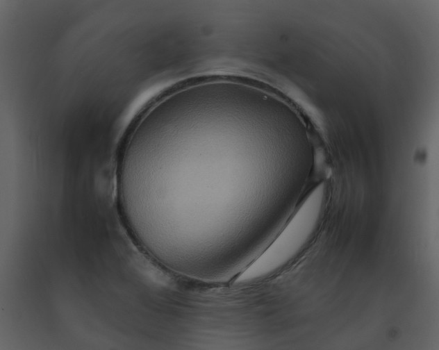 X0000092271368200710051330