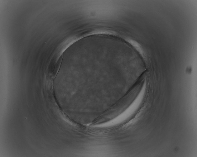 X0000092271369200710051330