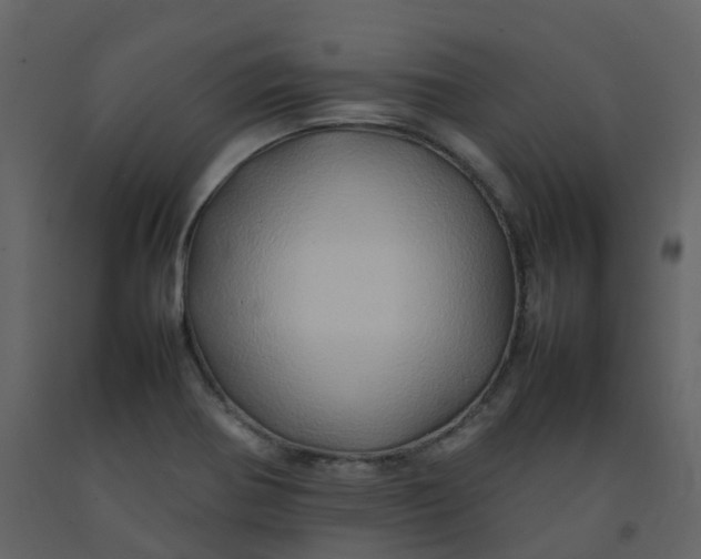 X0000092271370200710051330