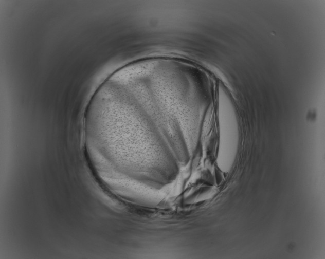 X0000092271371200710051330