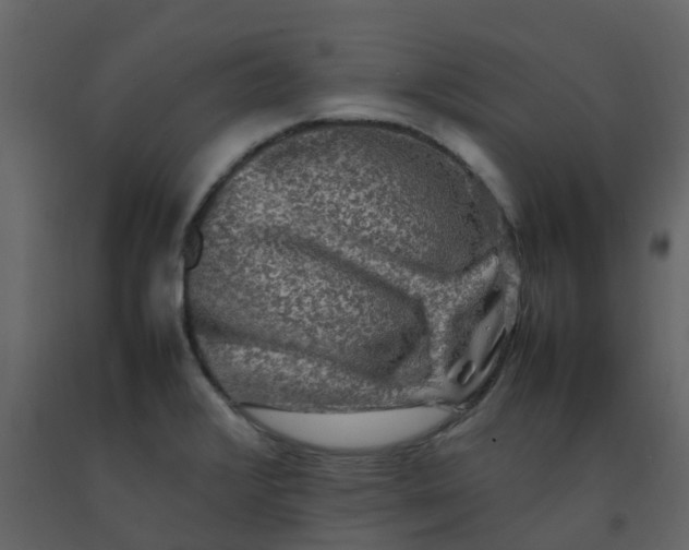 X0000092271376200710051330