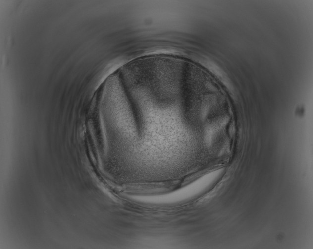 X0000092271377200710051330