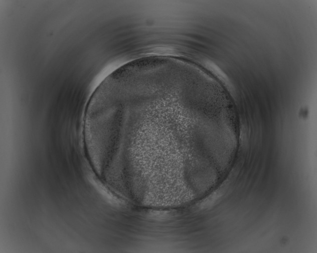 X0000092271378200710051330