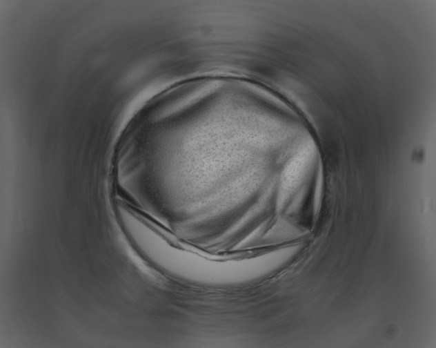 X0000092271379200710051330