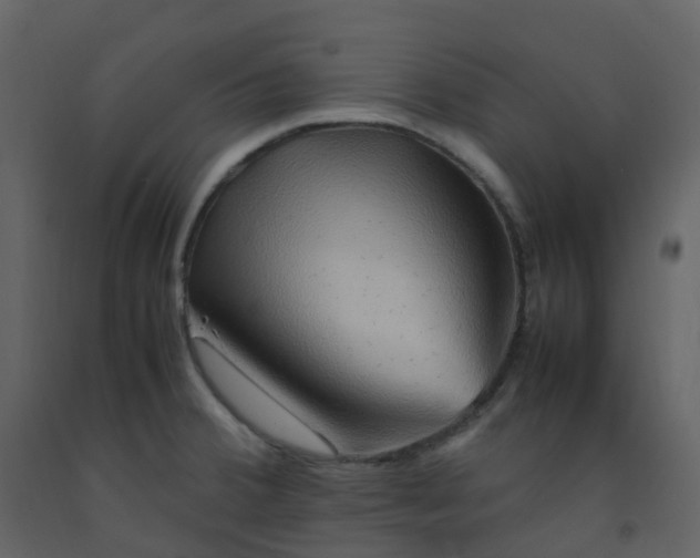 X0000092271380200710051330