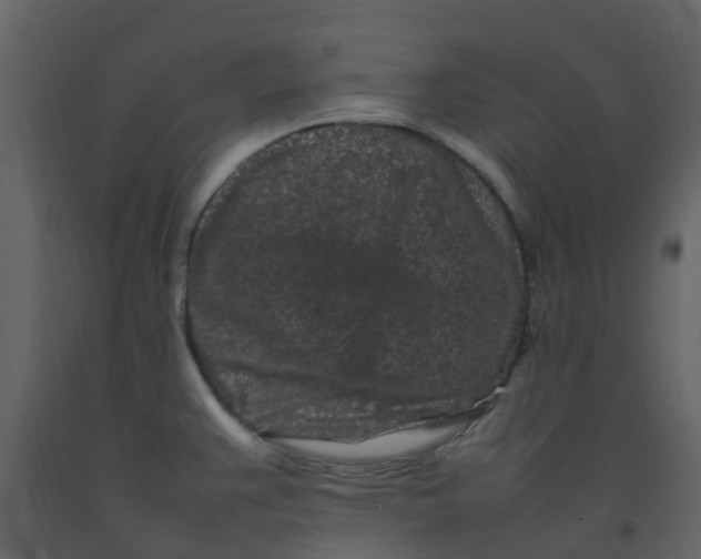 X0000092271383200710051330