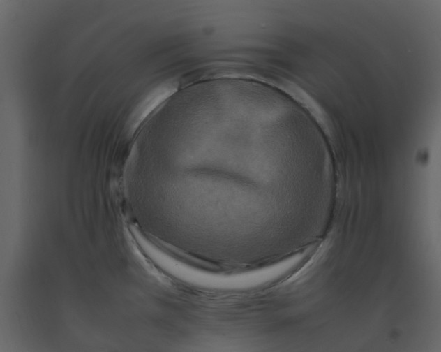 X0000092271385200710051330