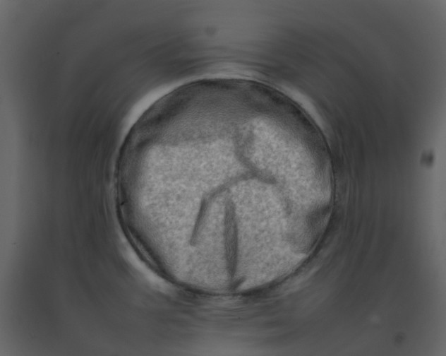 X0000092271387200710051330