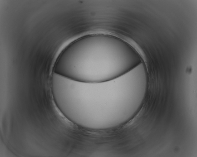 X0000092271388200710051330