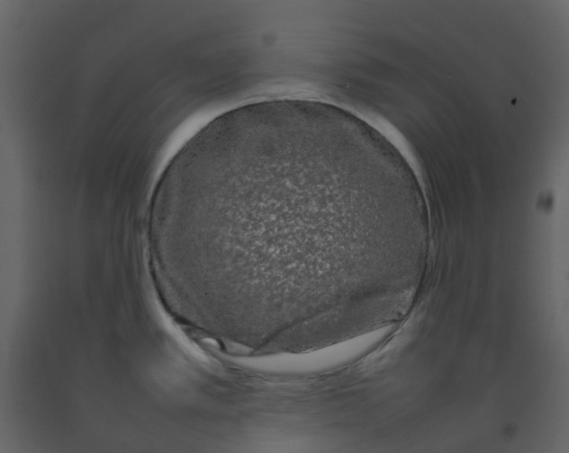 X0000092271389200710051330