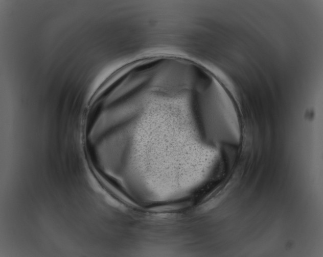 X0000092271390200710051330