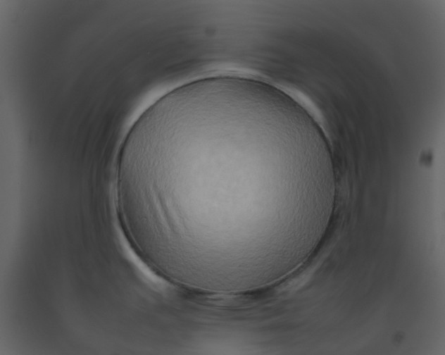 X0000092271391200710051330