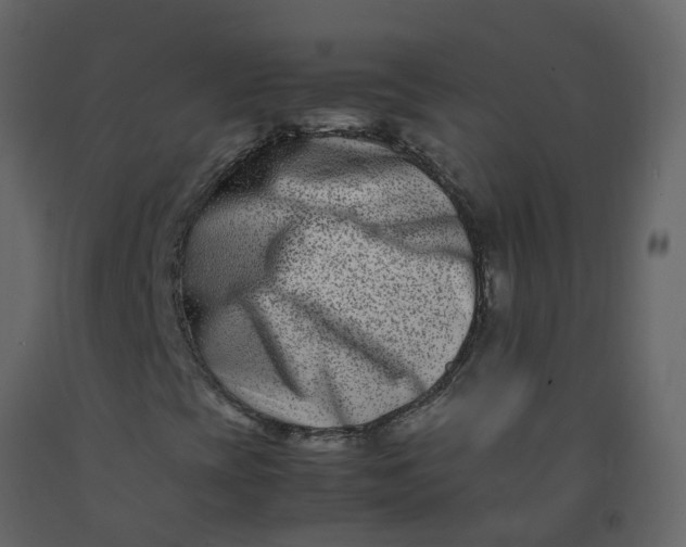 X0000092271393200710051330