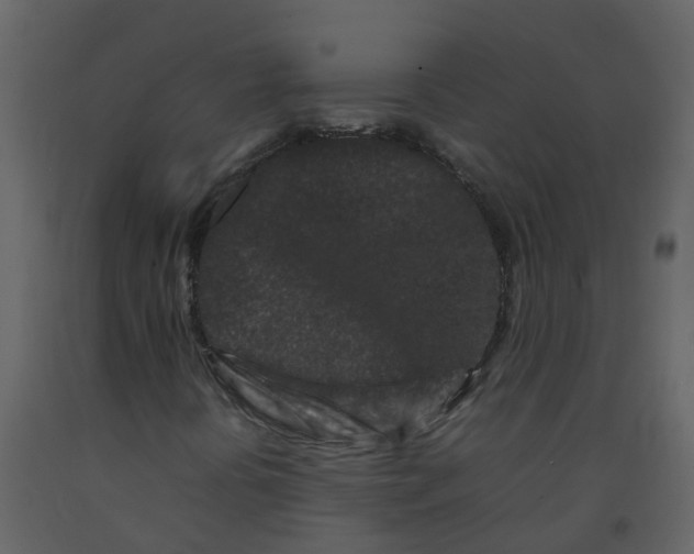 X0000092271394200710051330