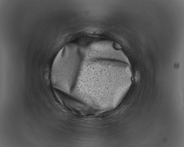 X0000092271396200710051330