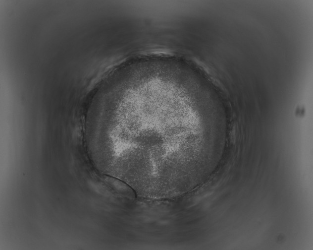 X0000092271397200710051330