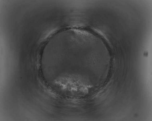 X0000092271399200710051330