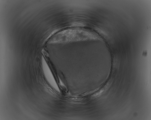 X0000092271401200710051330