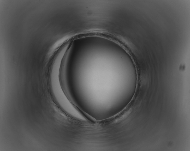 X0000092271406200710051330